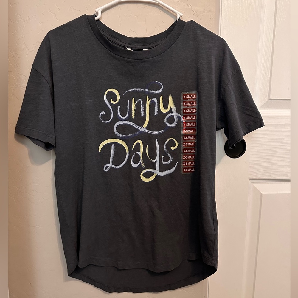 Wildfox Gray Short Sleeve Crewneck T-Shirt “Sunny Days” (XS)
